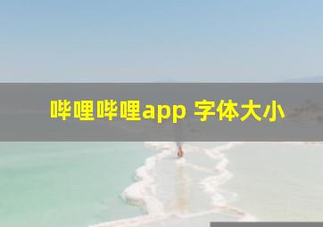 哔哩哔哩app 字体大小